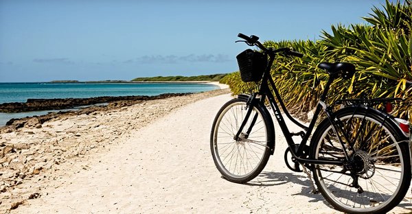 Découvrez les meilleurs endroits pour louer un vélo à l'île de ré